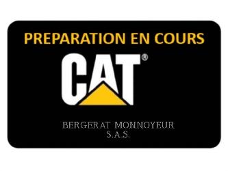 CAT 308