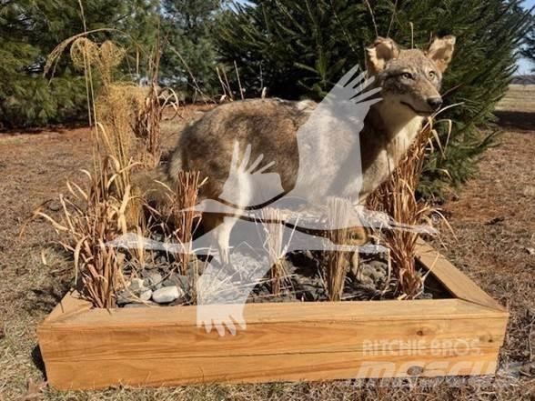 Coyote  Sonstige Baumaschinen