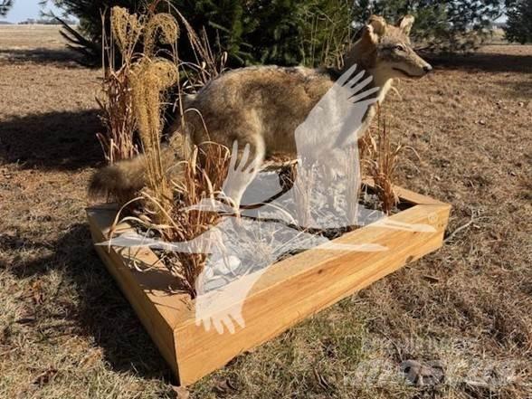 Coyote  Sonstige Baumaschinen