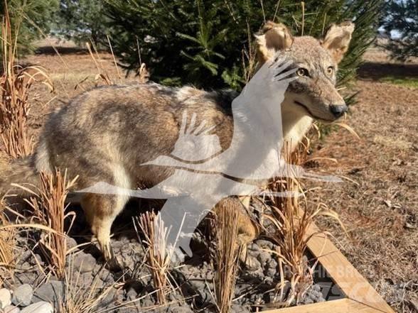 Coyote  Sonstige Baumaschinen