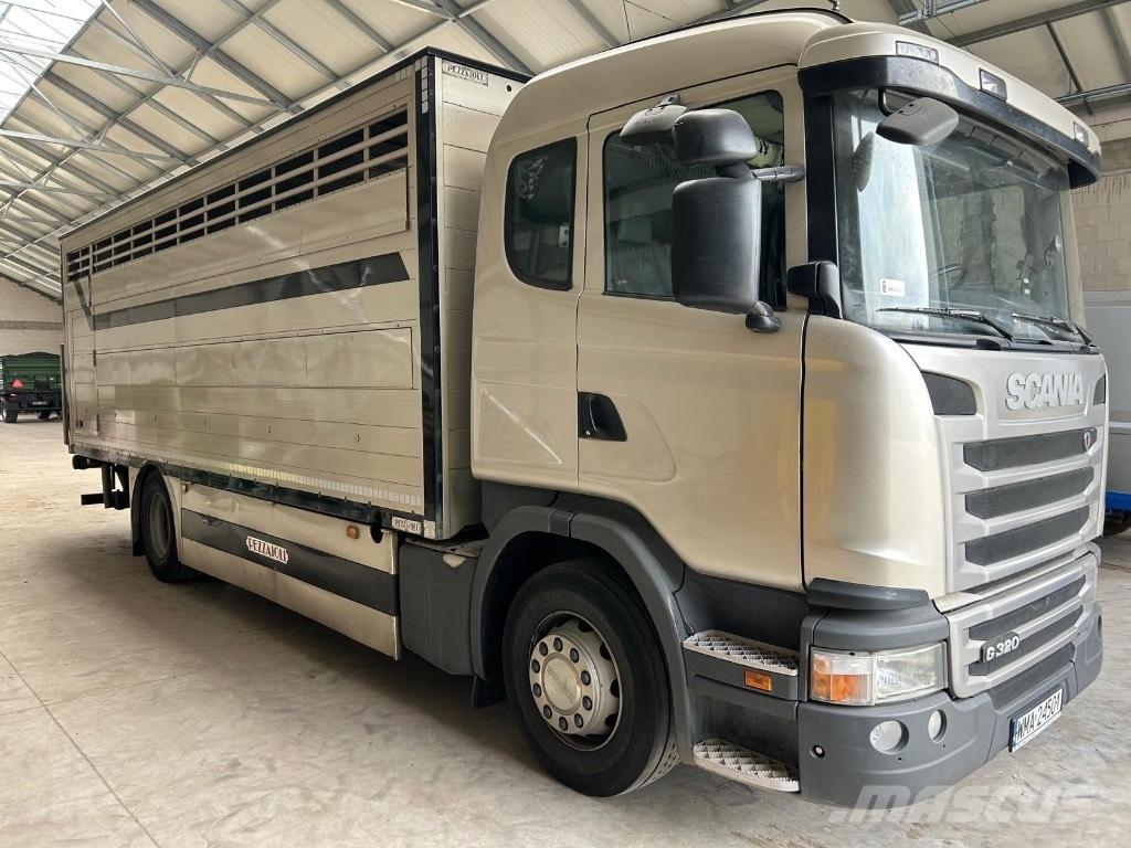 Scania G 320 Tiertransporter
