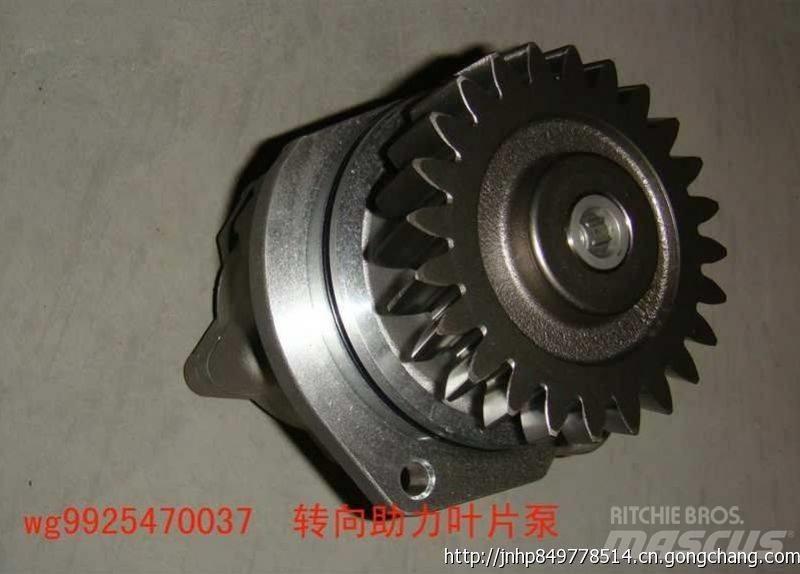  zhongqi WG9925470037 Motoren