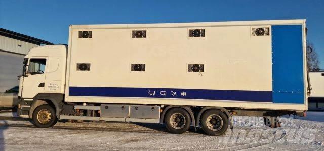 Scania R450 Tiertransporter