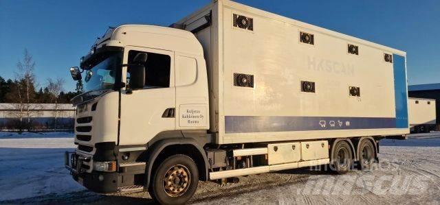 Scania R450 Tiertransporter