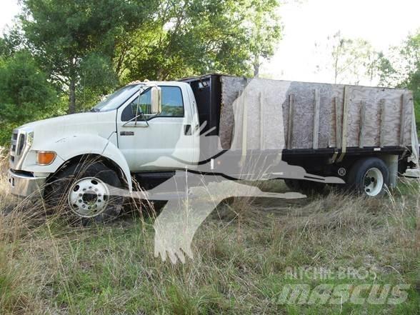 Ford F650 SD Pritschenwagen/Pritschenwagen mit Seitenklappe