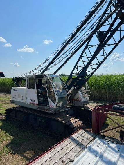 Terex HC 80 Raupenkrane