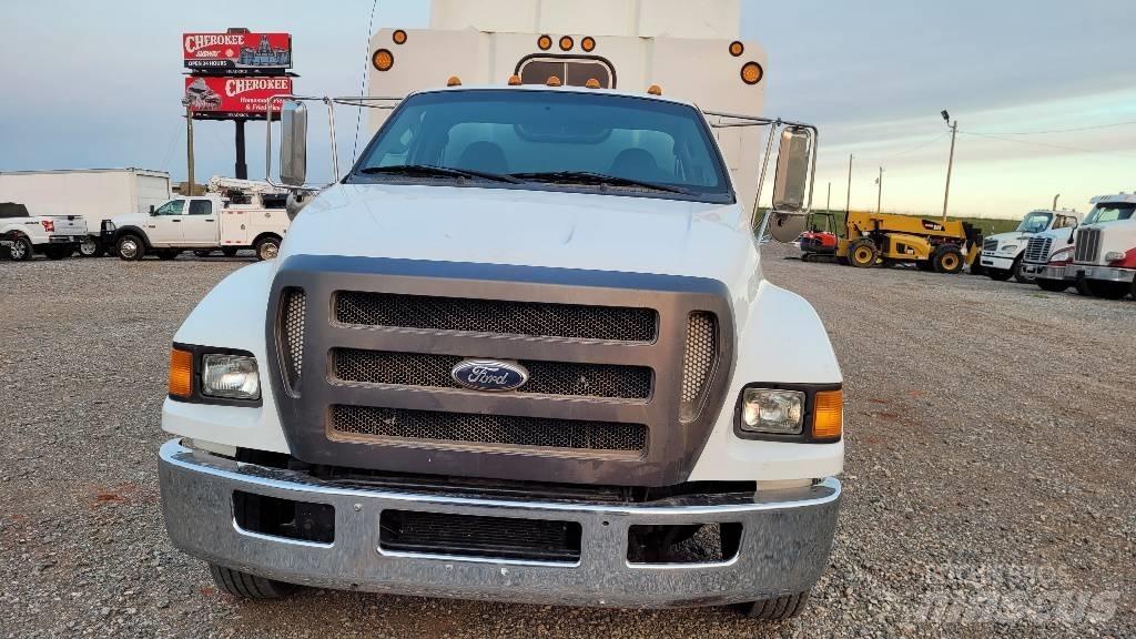 Ford F 650 SD Kleinholztransporter