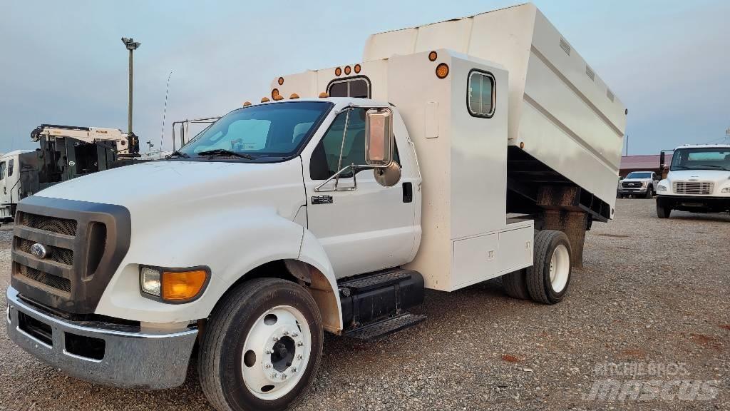 Ford F 650 SD Kleinholztransporter