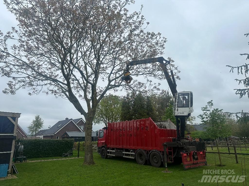 DAF cf As75pc Holztransporter