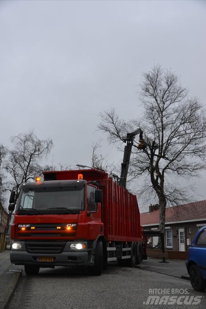 DAF cf As75pc Holztransporter