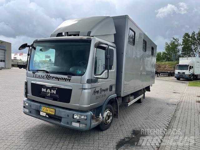 MAN 8.180 Kofferaufbau