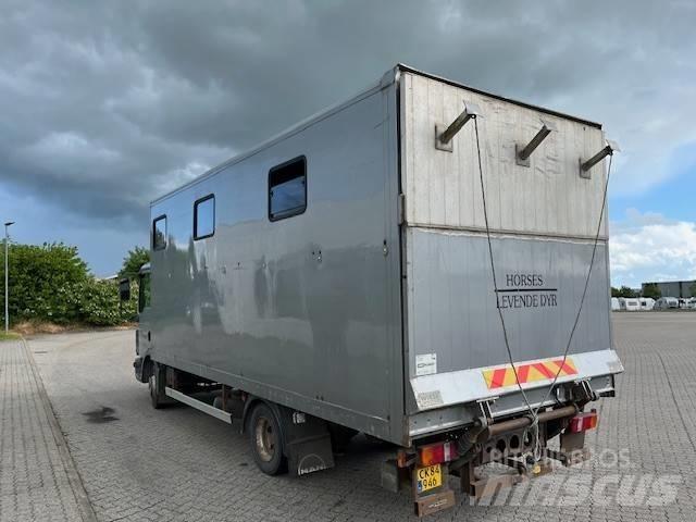 MAN 8.180 Kofferaufbau