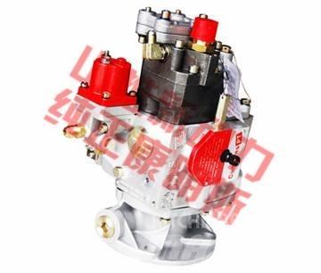 Cummins fuel pump Transport Sonstige