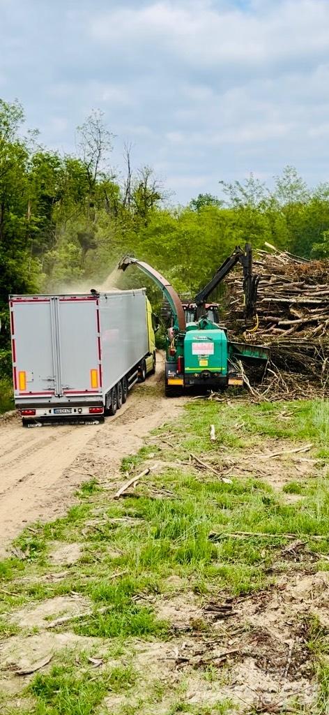 JENZ HEM 561Z Holzspalter
