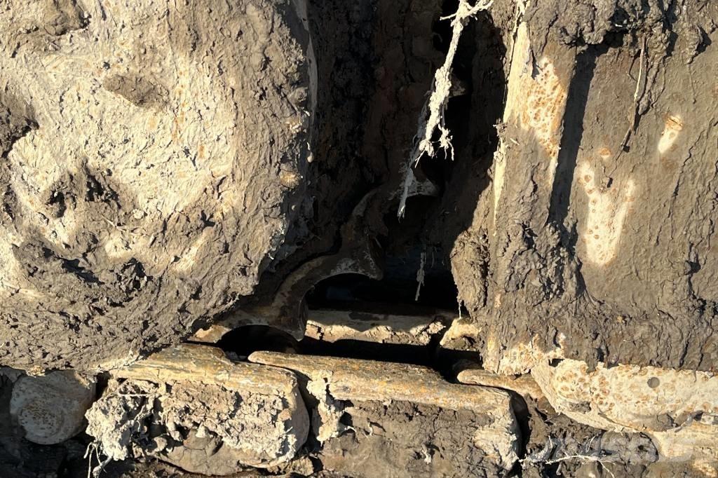 CASE CX 235 C Raupenbagger