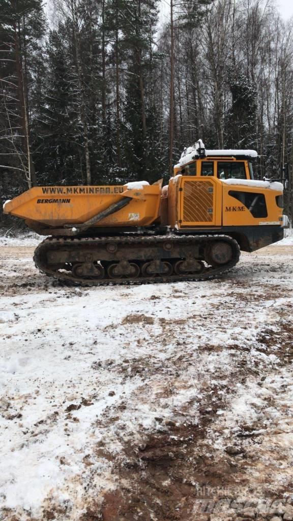 Bergmann 4010R Raupendumper
