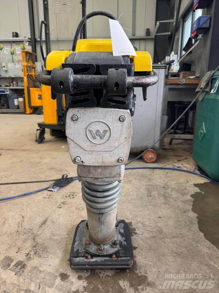 Wacker Neuson BS50-2 Stampfer