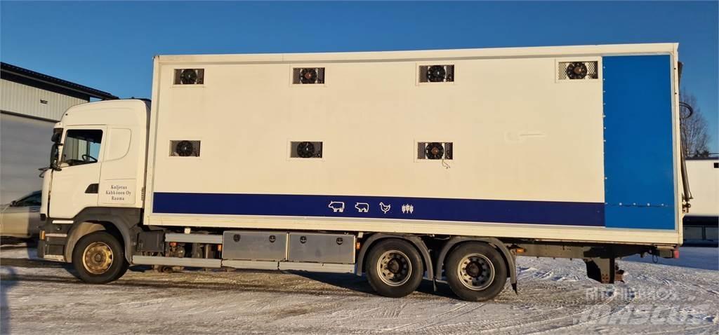 Scania R450 Tiertransporter