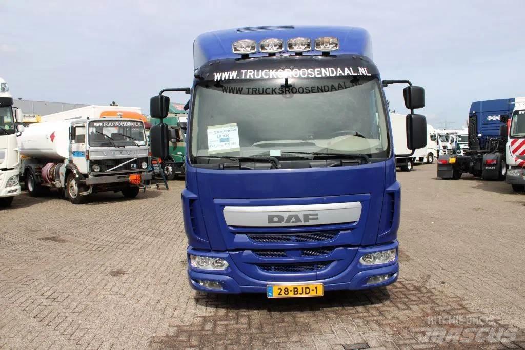 DAF LF 230 + EURO 6 Kofferaufbau