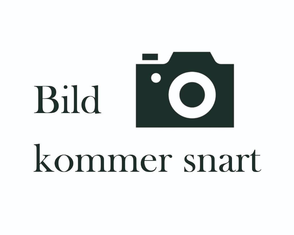 BT LPE250 Gabelstapler mit Fahrerstand