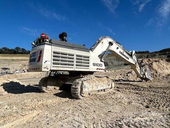 Liebherr R9100 Spezialbagger