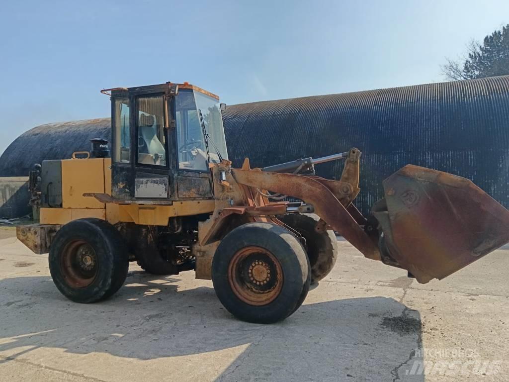 CAT 924 F Radlader
