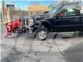 Ford F 350 Pritschenwagen/Pritschenwagen mit Seitenklappe