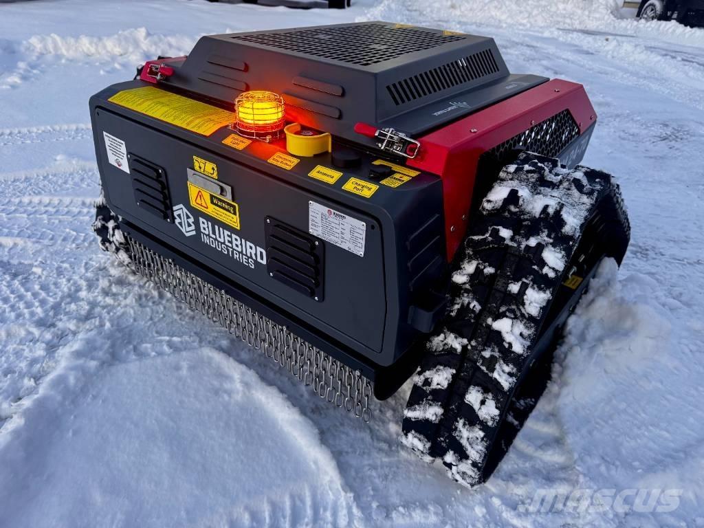 Blue Bird FM 24-70 Handgeführte Rasenmäher