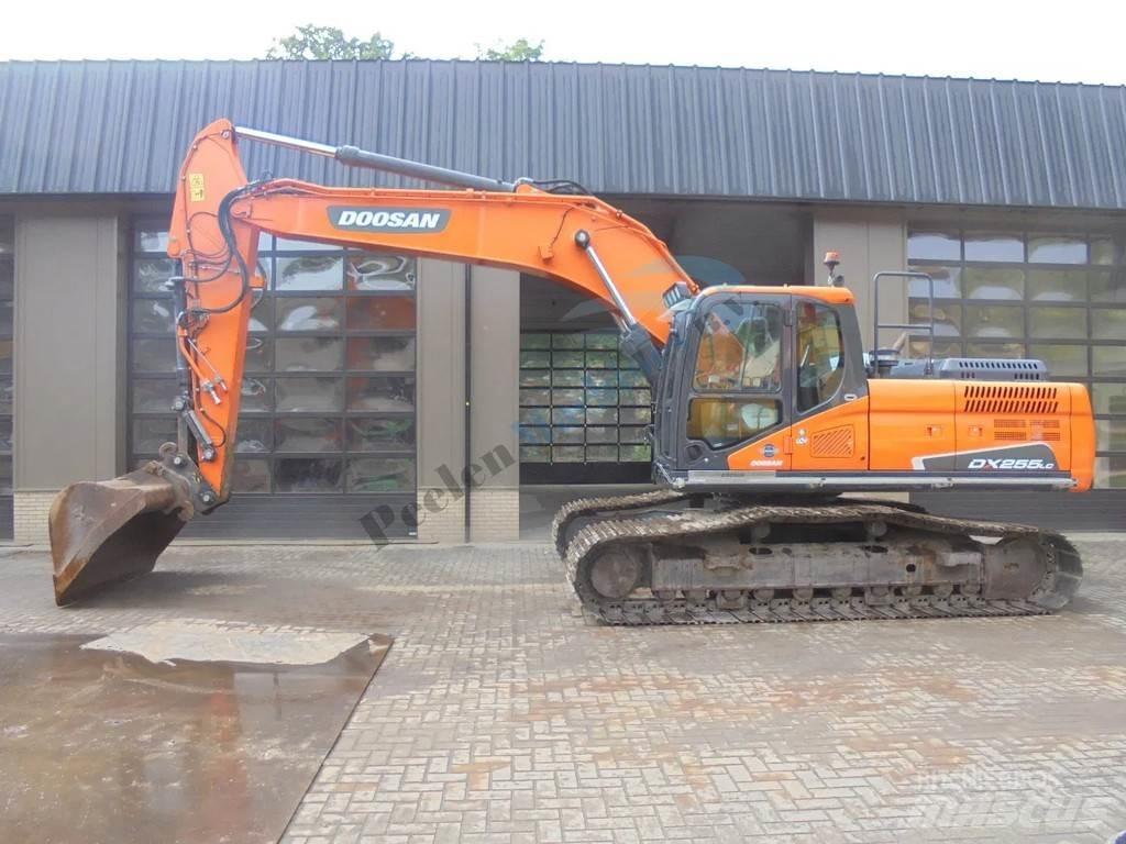 Doosan DX 255 LC-5 Raupenbagger