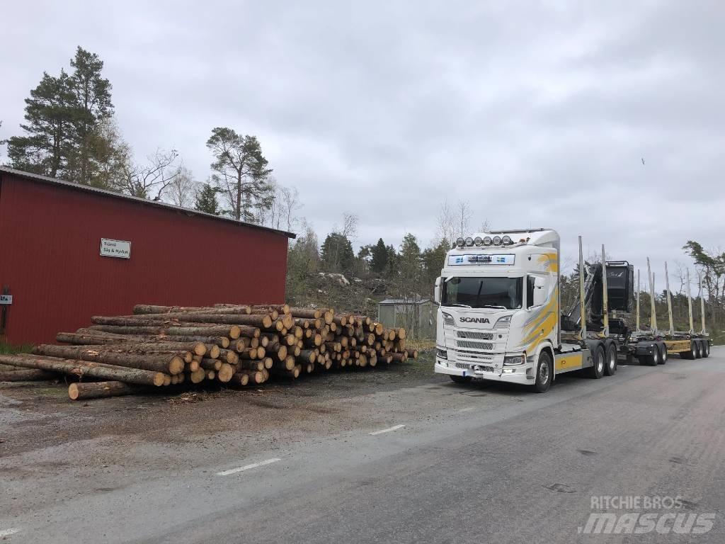 Scania R 650 Holztransporter