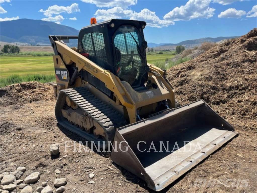 CAT 289D Laderaupen