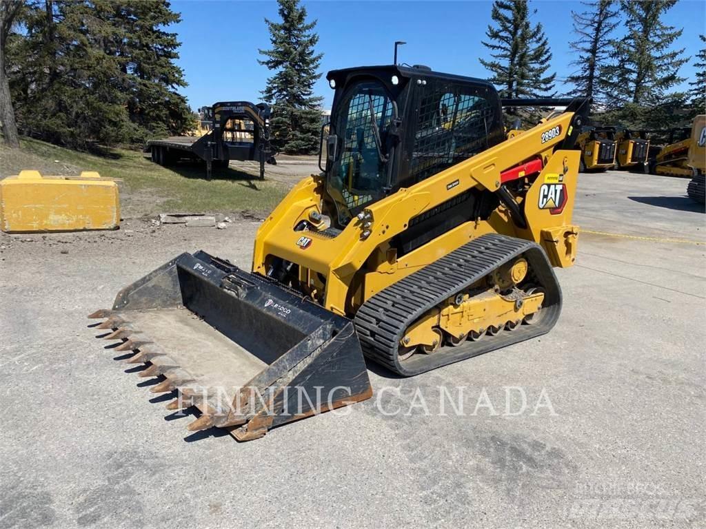 CAT 289D3 Laderaupen