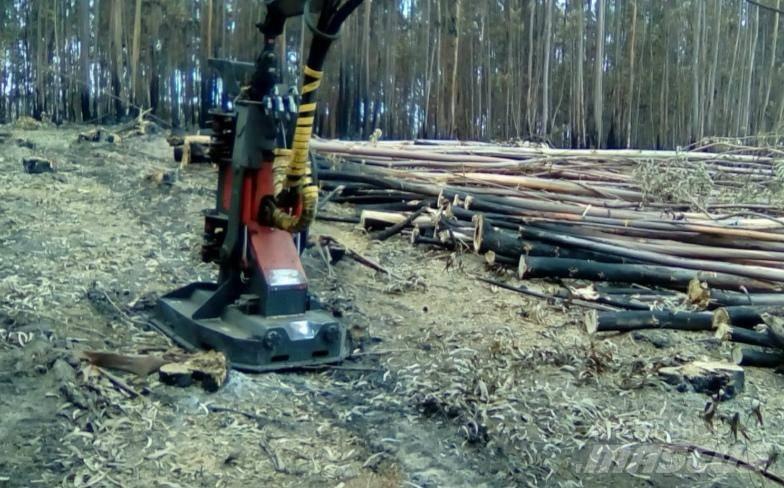  Vicort VAF 45 Holzspalter