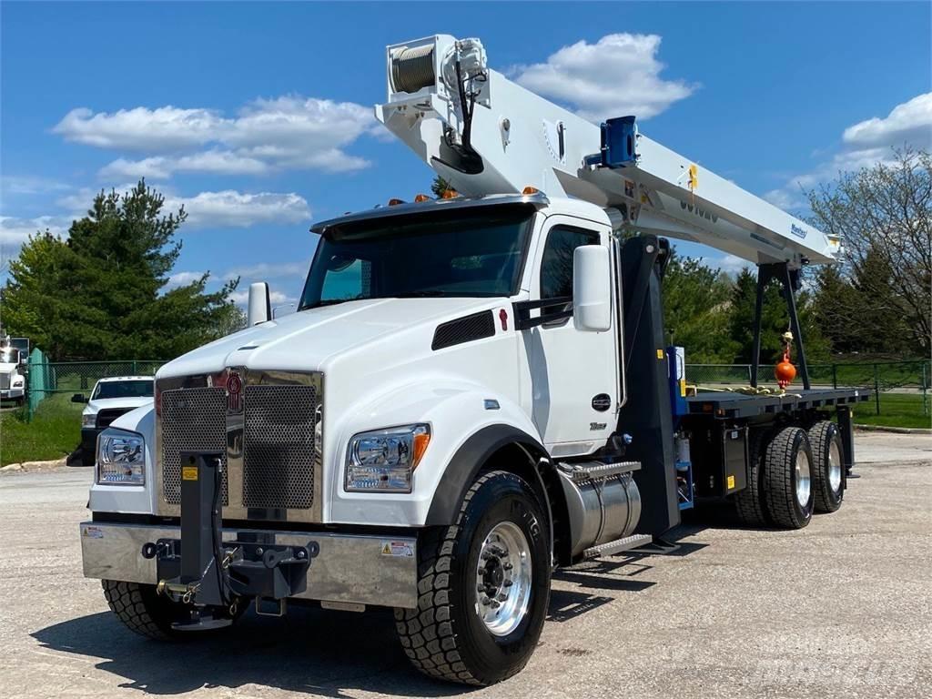 Manitex 30102 C Kranwagen