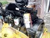 Cummins 6BTA5.9-C125 Motoren