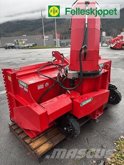 Globus GTF 250 Schneefräse