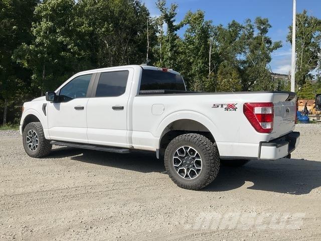Ford F-150 Pickup/Pritschenwagen