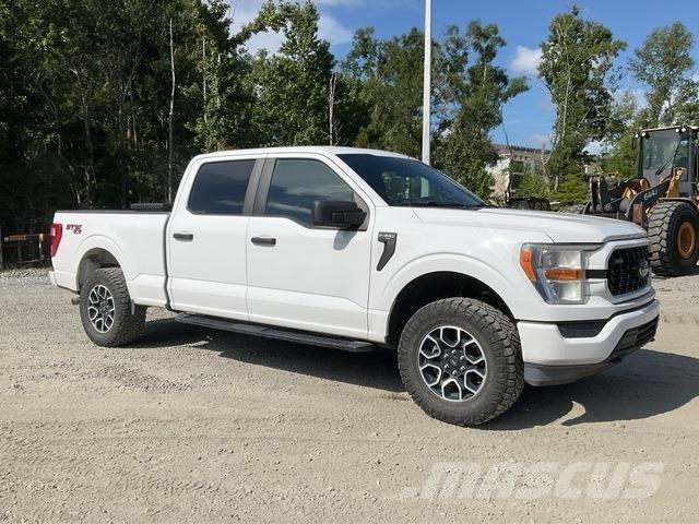 Ford F-150 Pickup/Pritschenwagen