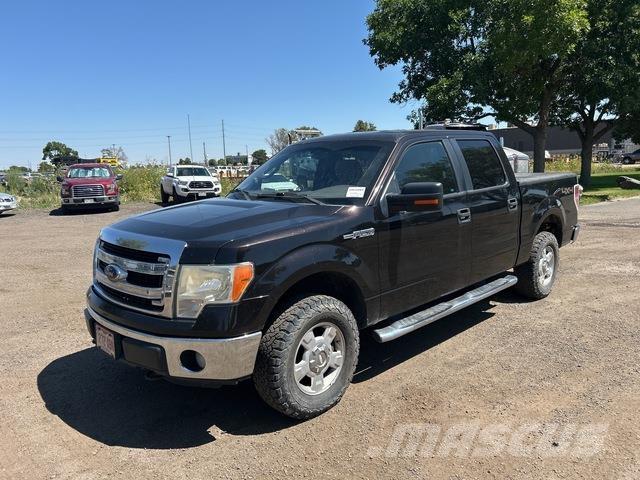 Ford F-150 Andere Transporter