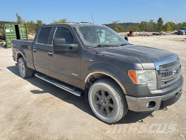 Ford F-150 Pickup/Pritschenwagen