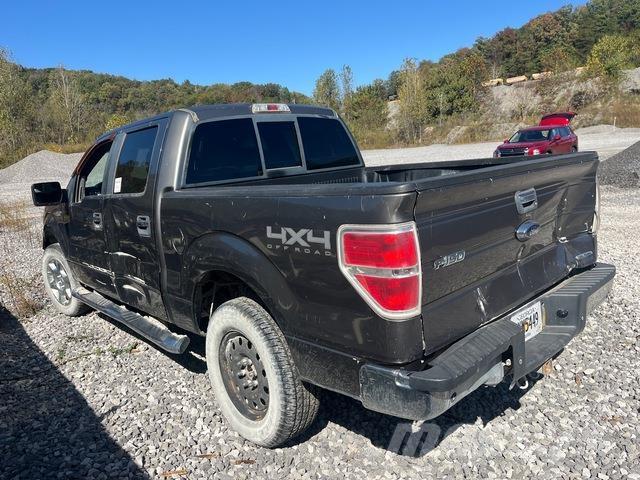 Ford F-150 Pickup/Pritschenwagen