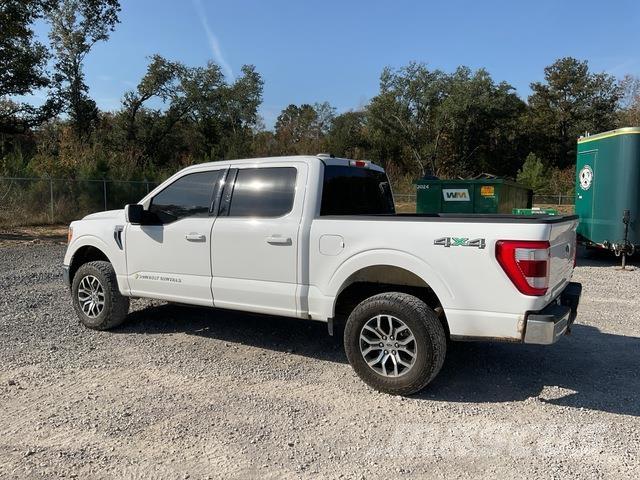 Ford F-150 Pickup/Pritschenwagen