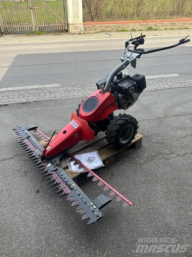 Aebi CC56 Reitermäher