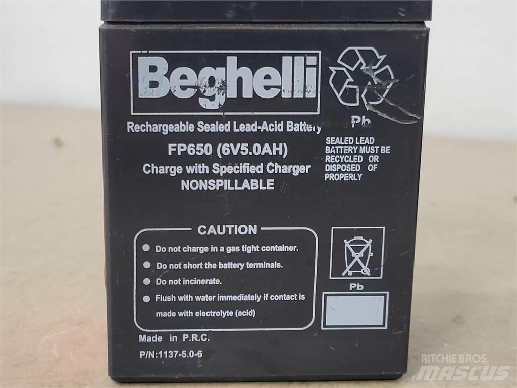  BEGHELLI FP650 Batterien