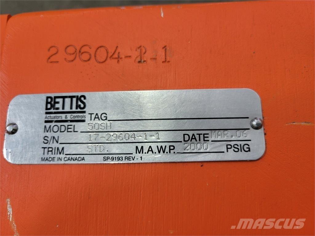  BETTIS 50SH Sonstige Baumaschinen