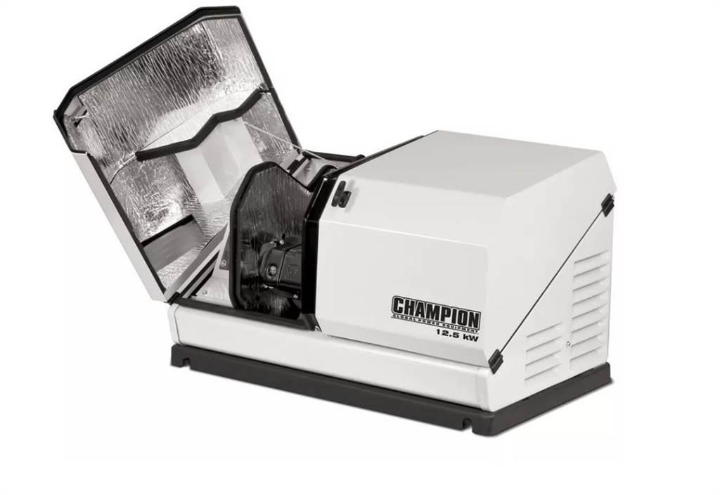 Champion 100838 Diesel Generatoren