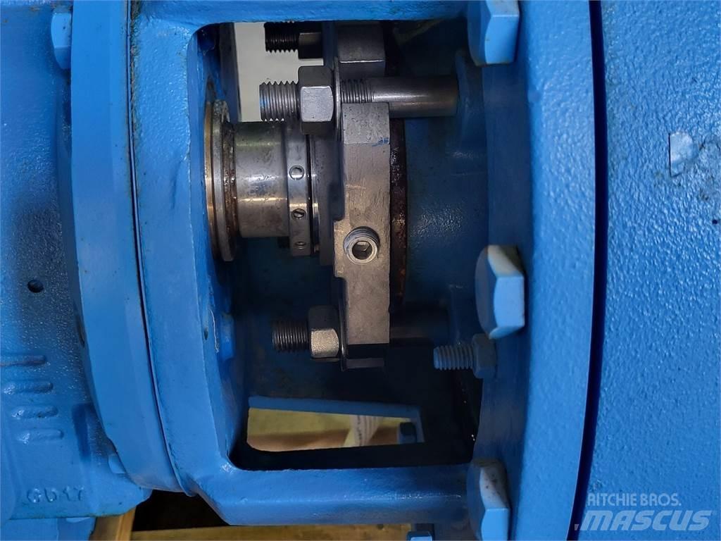  GOULDS 3196 Wasserpumpen