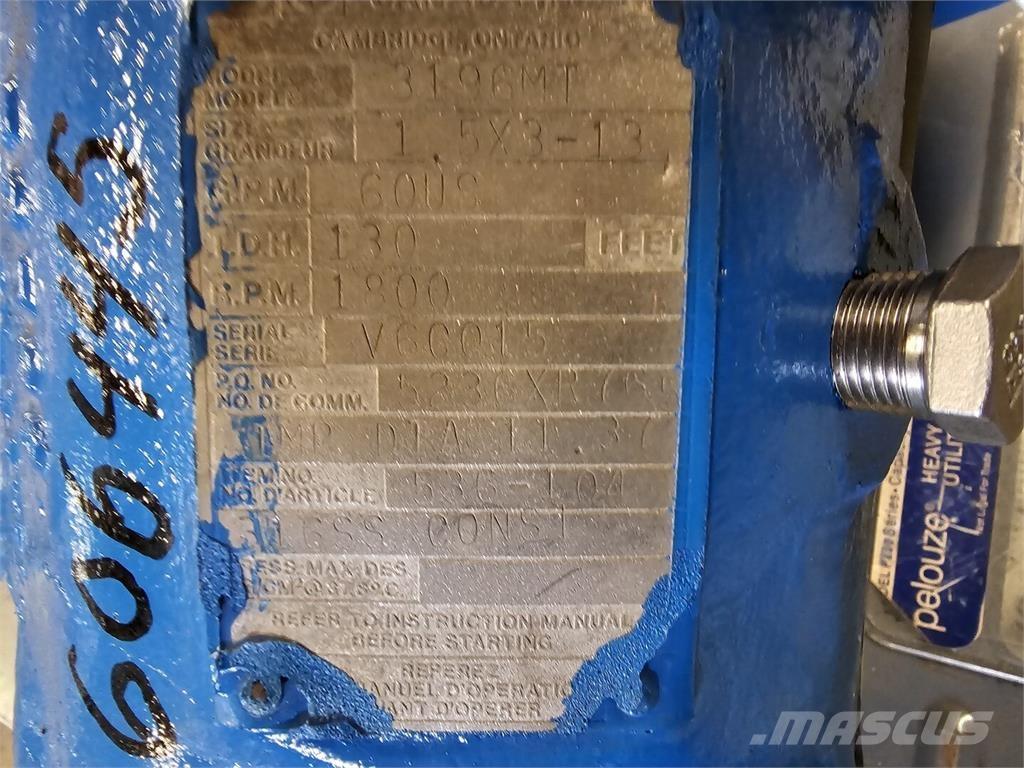  GOULDS 3196MT Wasserpumpen