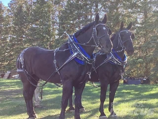  Percheron Team Sonstige Baumaschinen