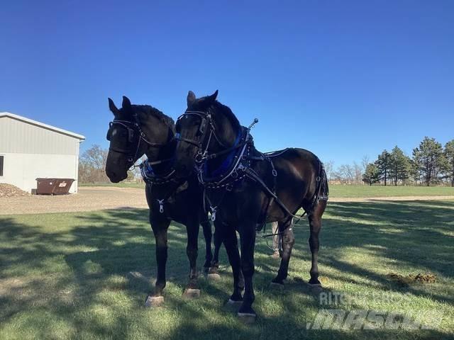  Percheron Team Sonstige Baumaschinen